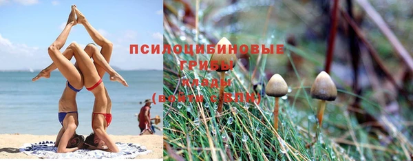 a pvp Аркадак