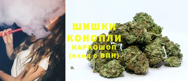 a pvp Аркадак