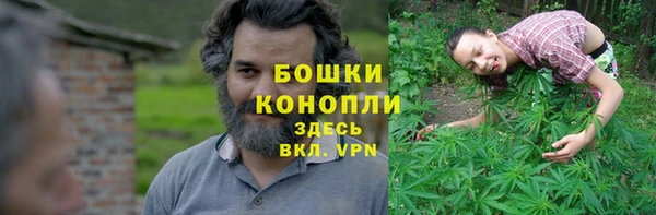 a pvp Аркадак