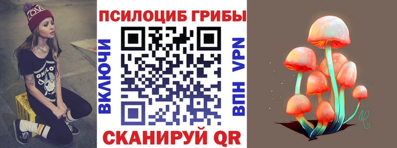 Галлюциногенные грибы Cubensis  Горнозаводск 